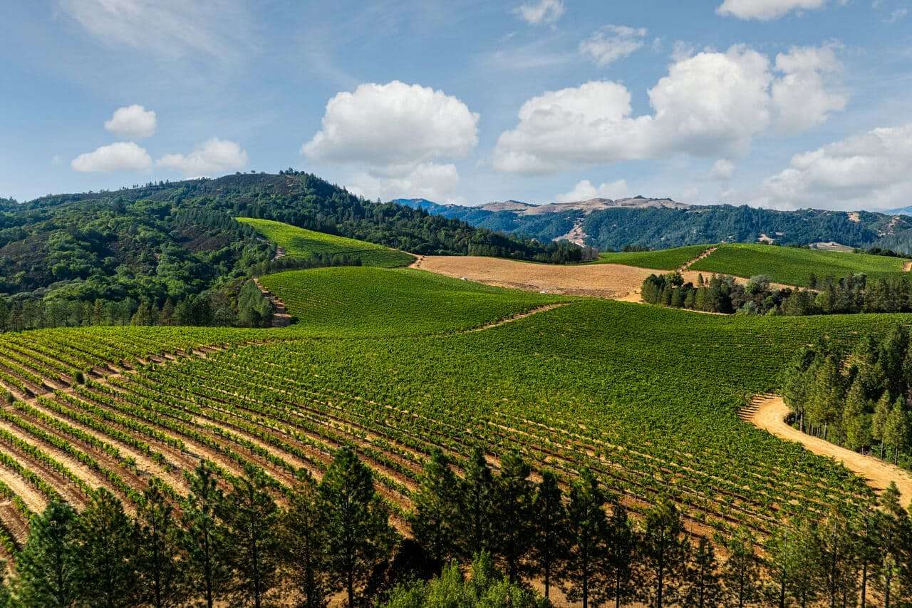 250 Acres of Agricultural Land for Sale in Healdsburg, California