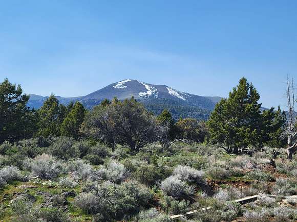 40 Acres of Agricultural Land for Sale in Plush, Oregon