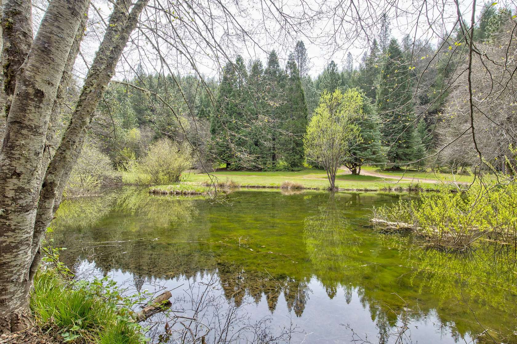 217 Acres of Recreational Land with Home for Sale in Wilseyville, California