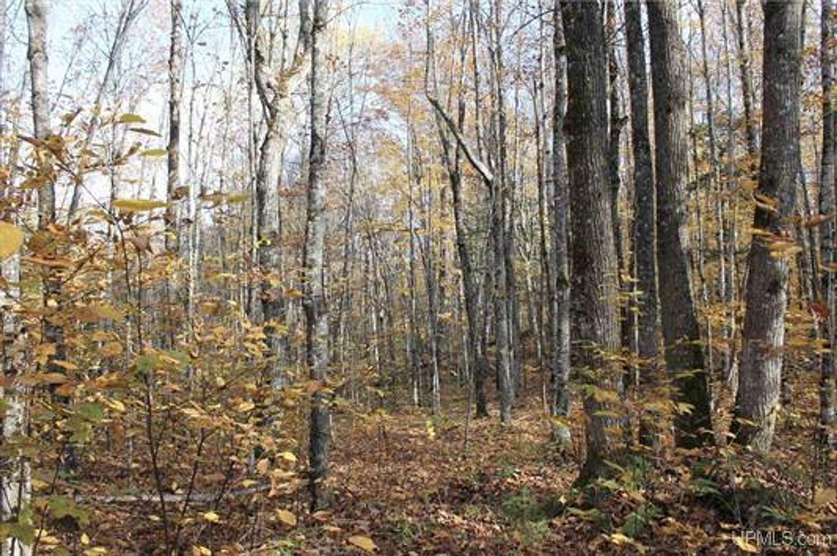 80 Acres of Recreational Land for Sale in Pelkie, Michigan