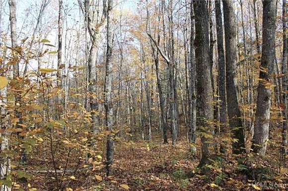 80 Acres of Recreational Land for Sale in Pelkie, Michigan