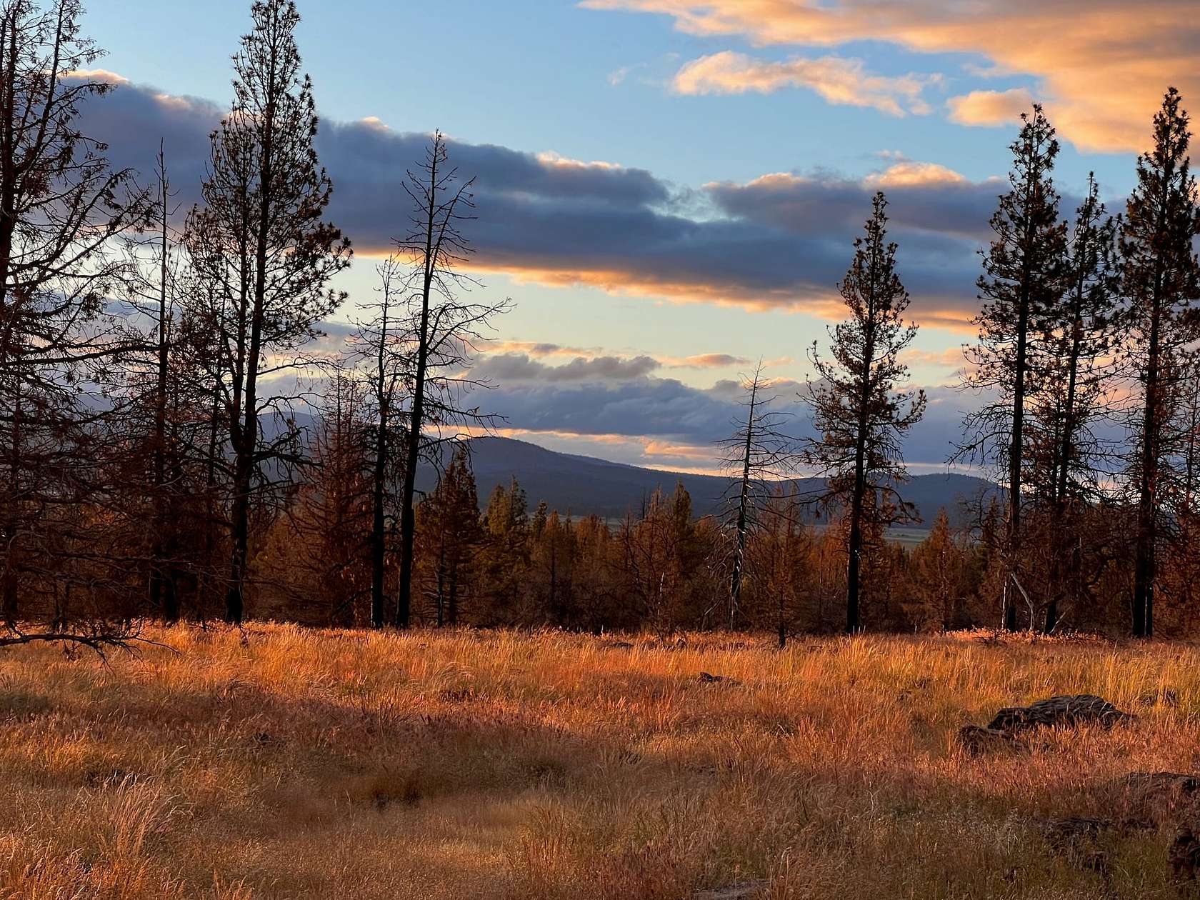 320 Acres of Recreational Land for Sale in Paisley, Oregon