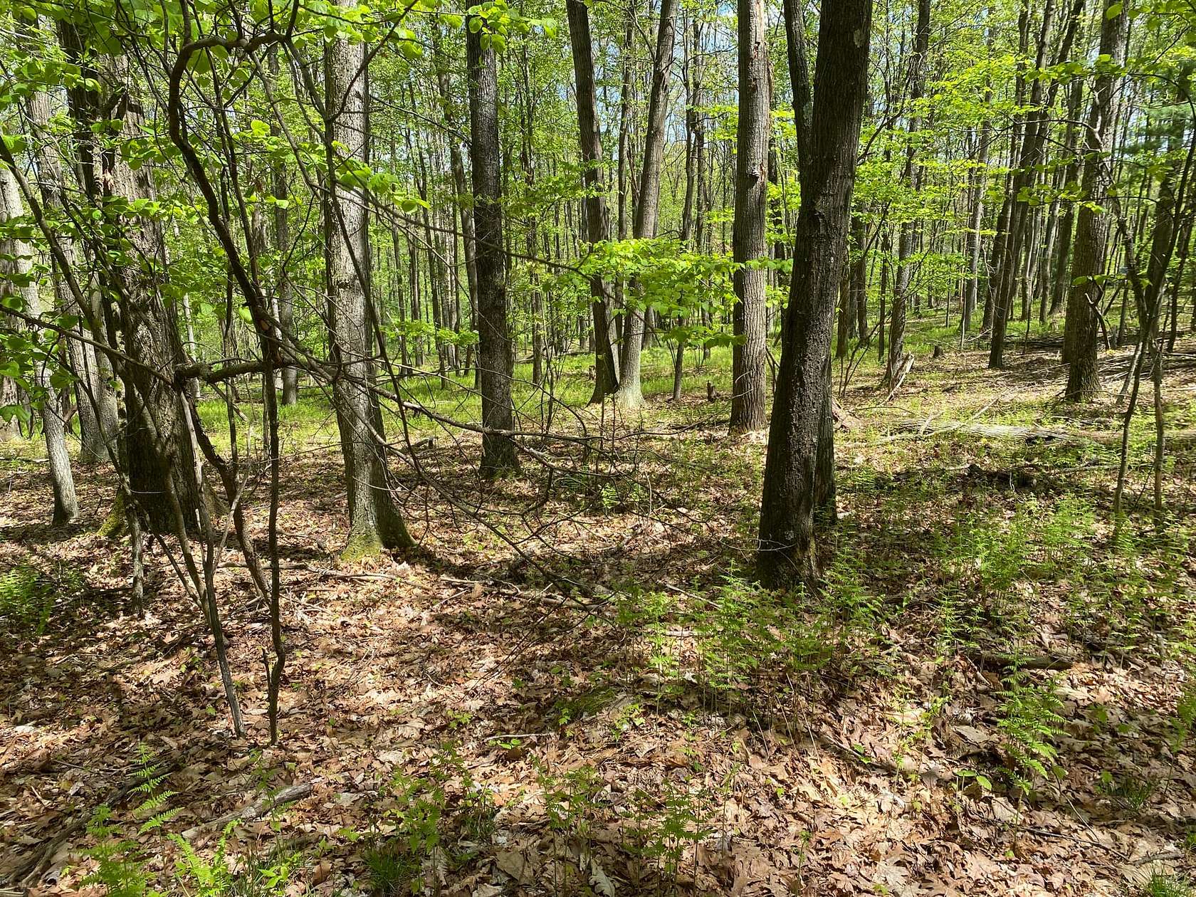 502.2 Acres of Recreational Land for Sale in Morrisdale, Pennsylvania