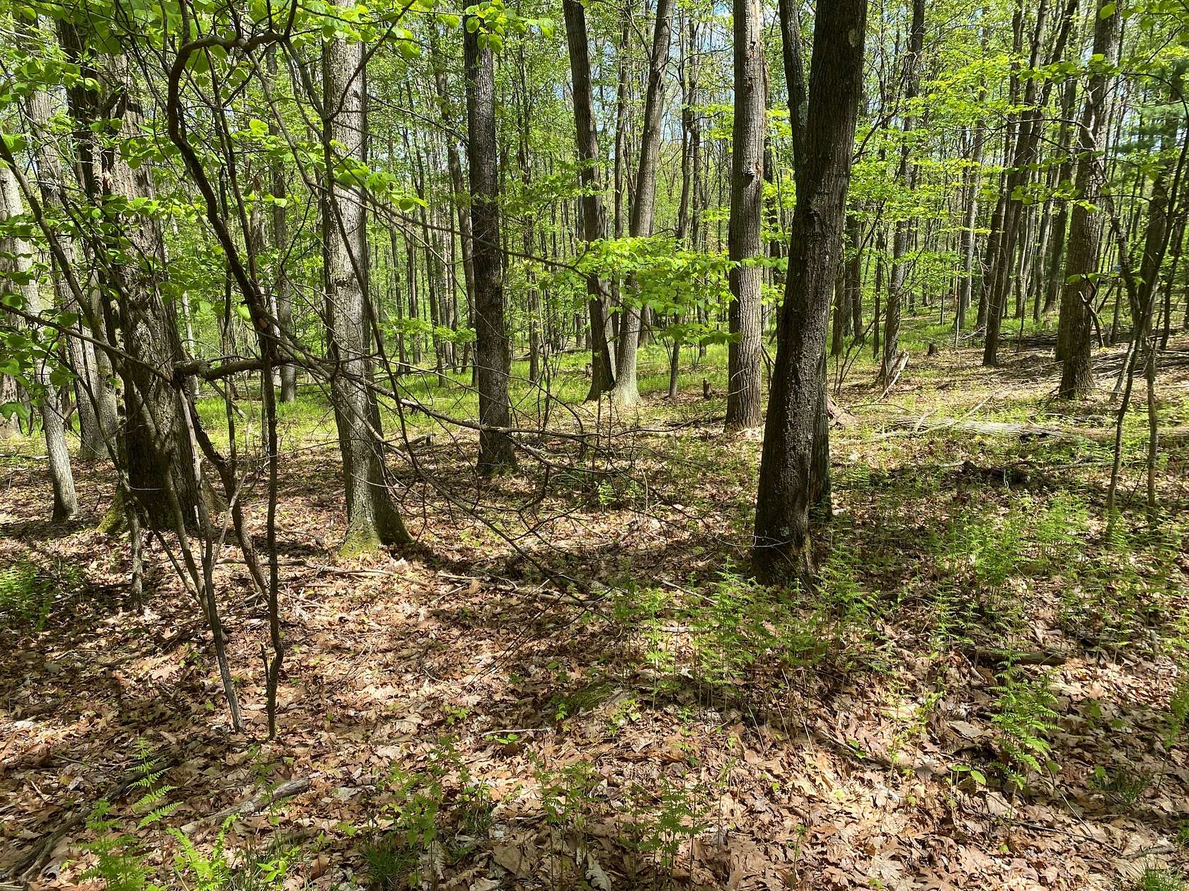 502 Acres of Land for Sale in Morrisdale, Pennsylvania