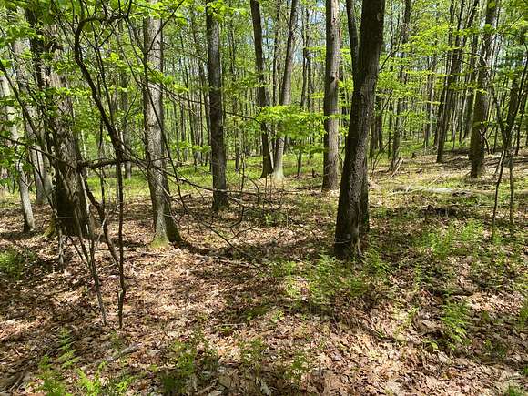 502.2 Acres of Recreational Land for Sale in Morrisdale, Pennsylvania