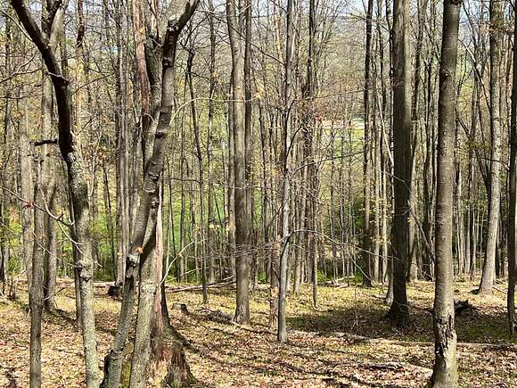 6.766 Acres of Residential Land for Sale in Lehighton, Pennsylvania