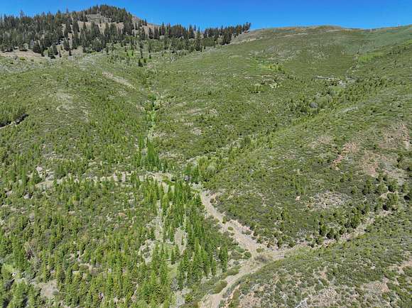 640 Acres of Recreational Land for Sale in Unity, Oregon