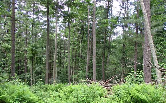 17.09 Acres of Land for Sale in New Albany, Pennsylvania