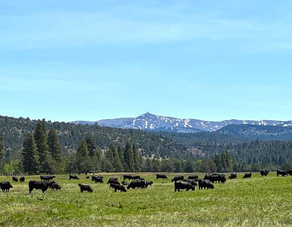 1,117 Acres of Land for Sale in Alturas, California
