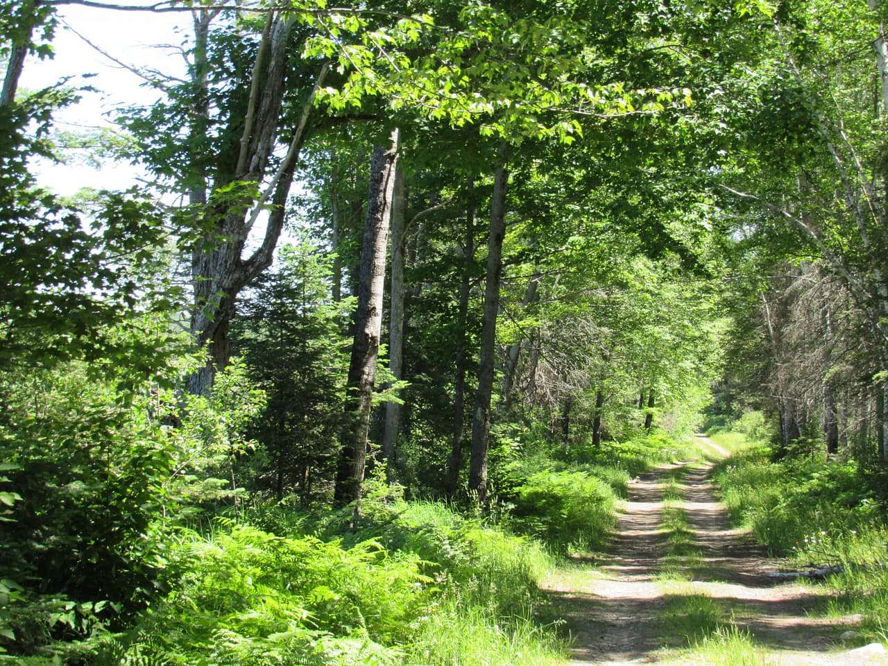 240 Acres of Recreational Land for Sale in Champion, Michigan