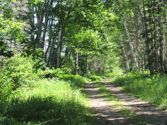 240 Acres of Recreational Land for Sale in Champion, Michigan