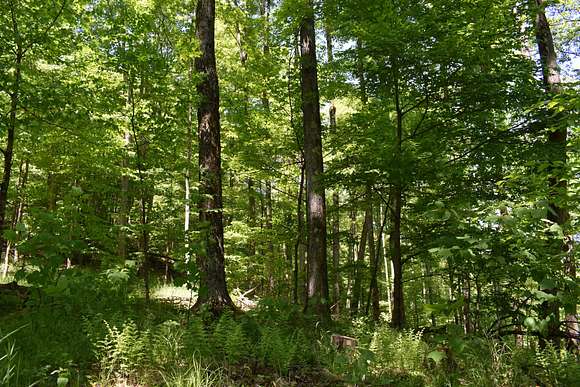 129.46 Acres of Recreational Land for Sale in Eldred, Pennsylvania