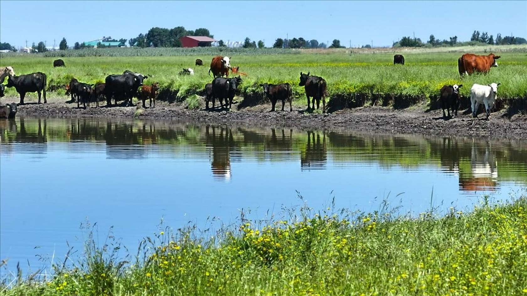 1,850 Acres of Recreational Land & Farm for Sale in Bieber, California