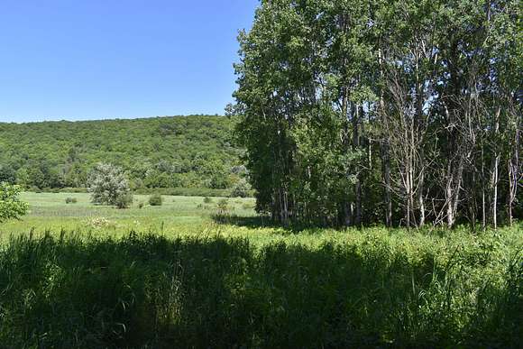 92 Acres of Recreational Land for Sale in Cherry Creek, New York