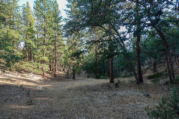 301.2 Acres of Recreational Land & Farm for Sale in Fort Jones, California