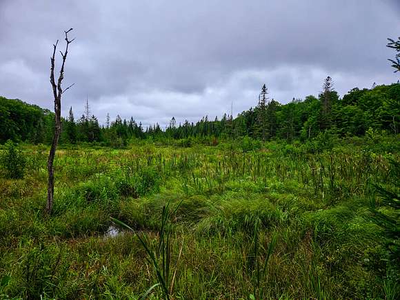 77 Acres of Recreational Land for Sale in Corinth, Vermont