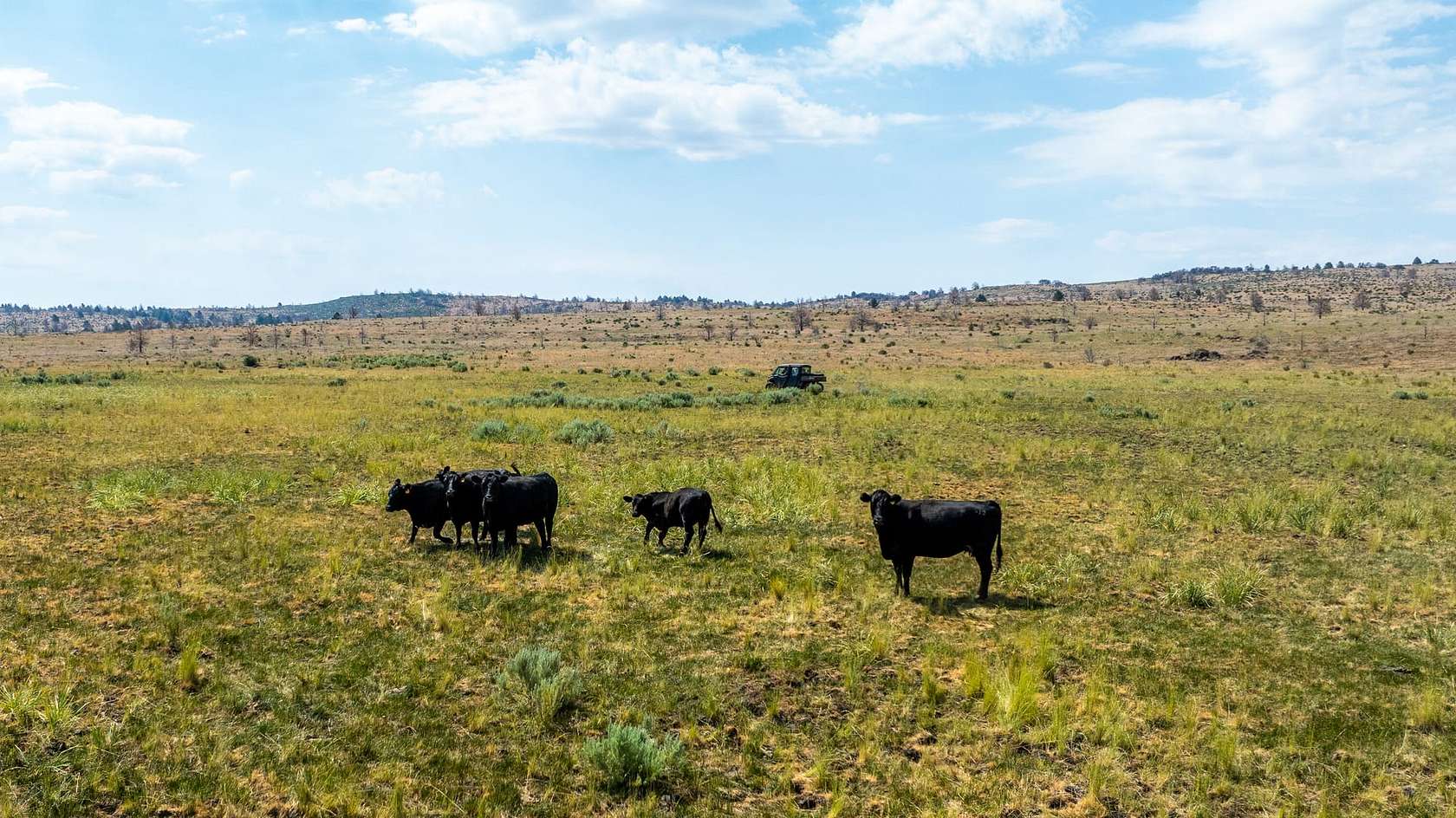 1,760 Acres of Recreational Land & Farm for Sale in Madeline, California