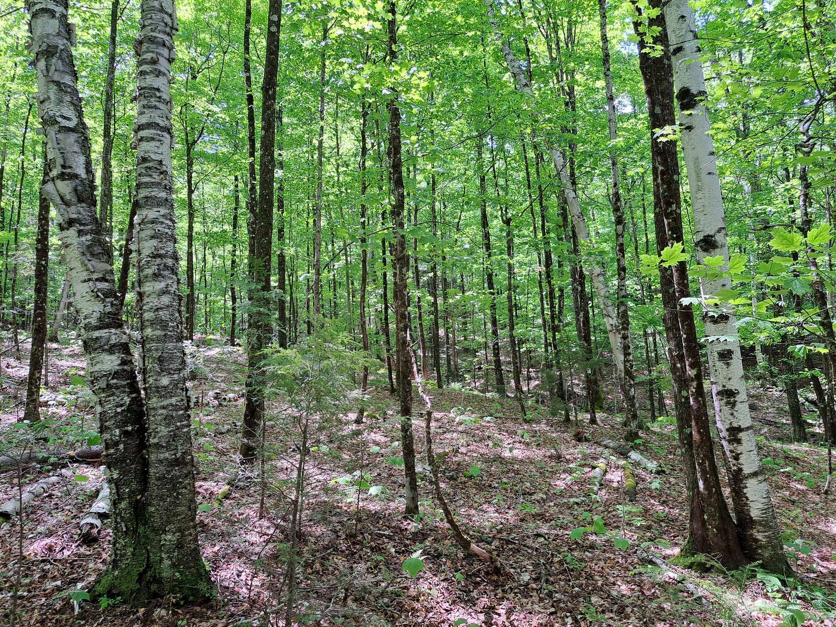 41.44 Acres of Recreational Land for Sale in North Creek, New York