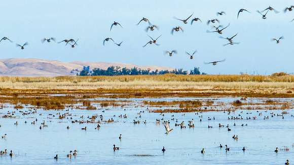 282 Acres of Recreational Land with Home for Sale in Benicia, California