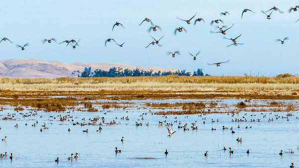 282 Acres of Recreational Land for Sale in Benicia, California
