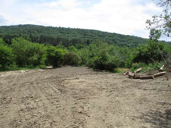 28.84 Acres of Recreational Land for Sale in Humphrey, New York