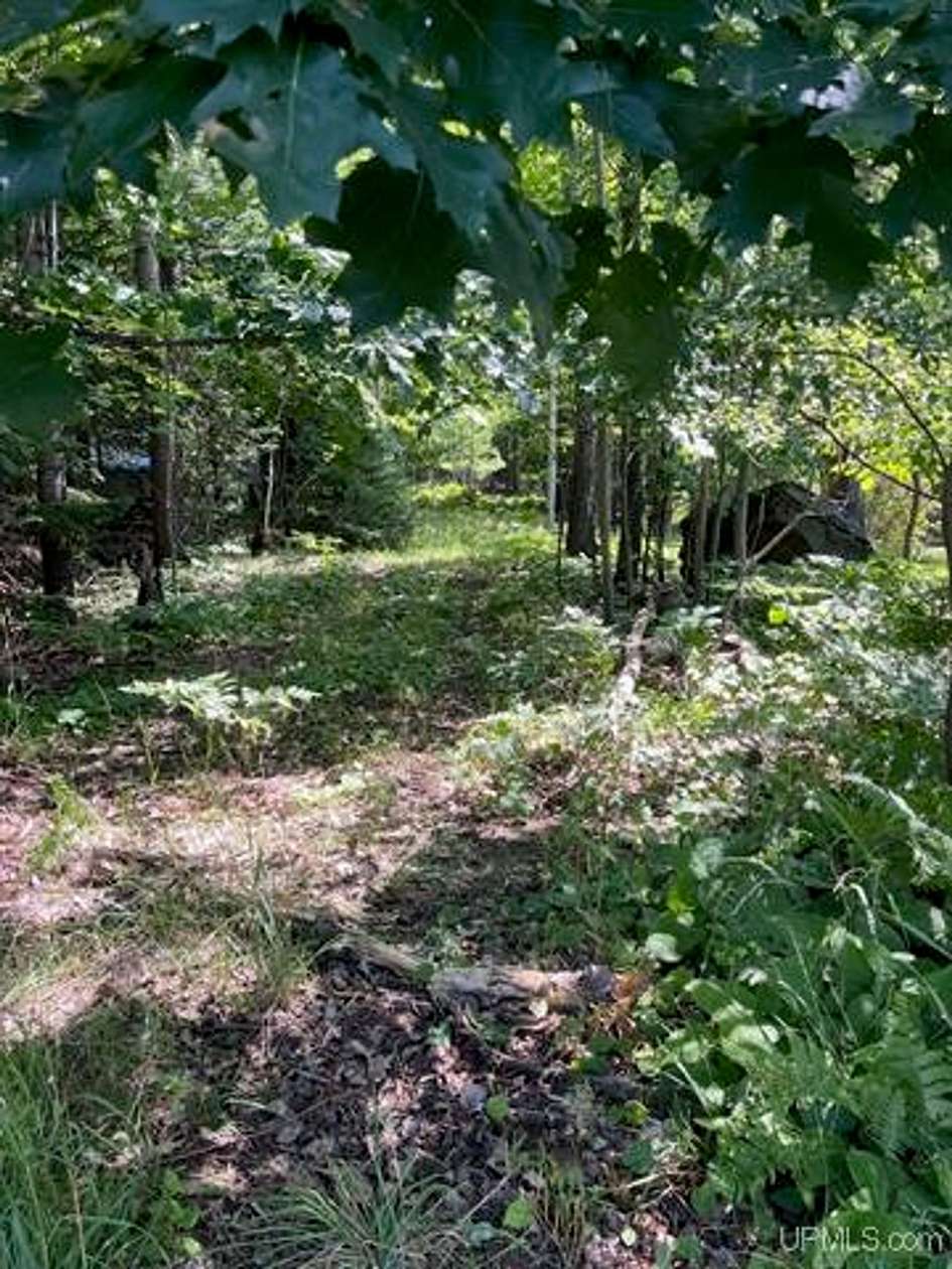 10 Acres of Residential Land for Sale in Marquette, Michigan