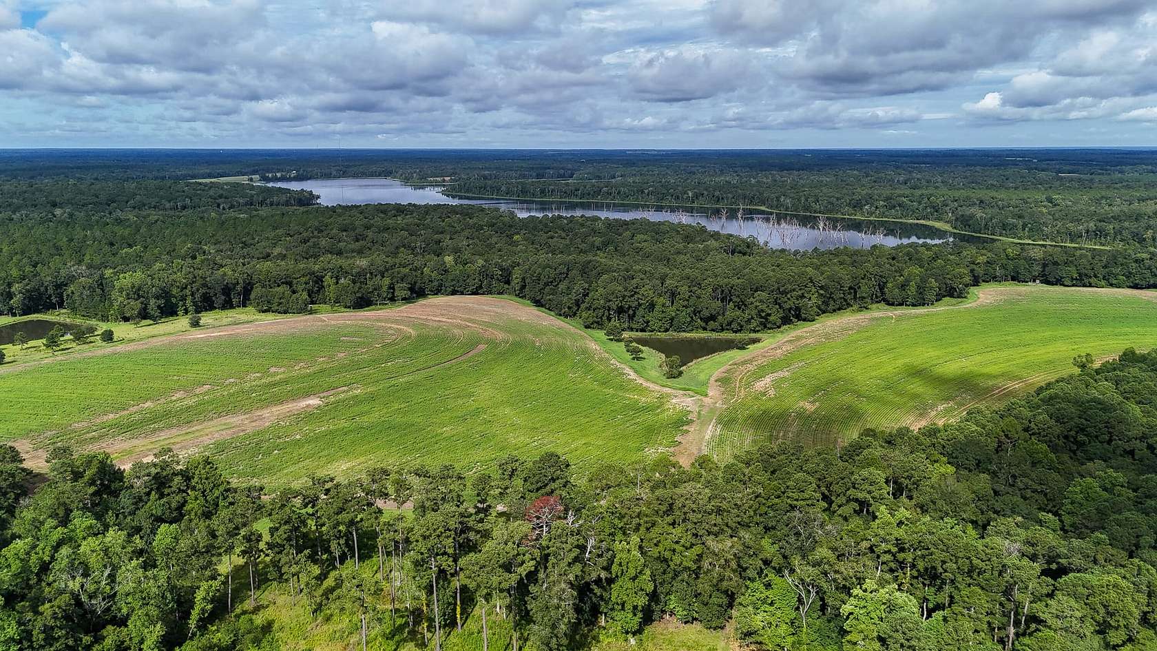 99 Acres of Land with Home for Sale in Cairo, Georgia