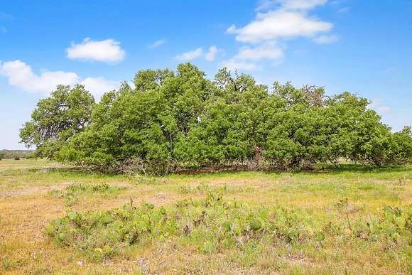 219.46 Acres of Land for Sale in Harper, Texas