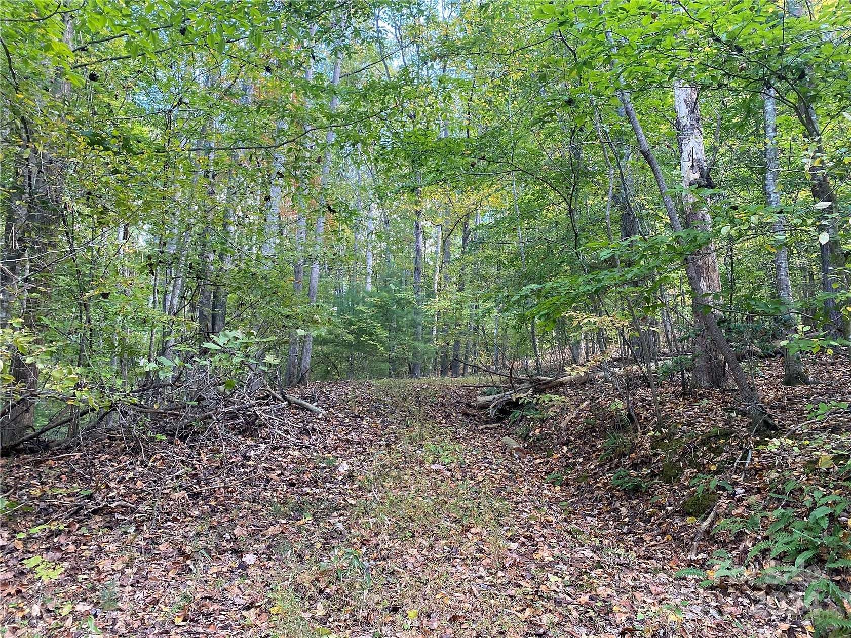 60 Acres of Recreational Land for Sale in Franklin, North Carolina