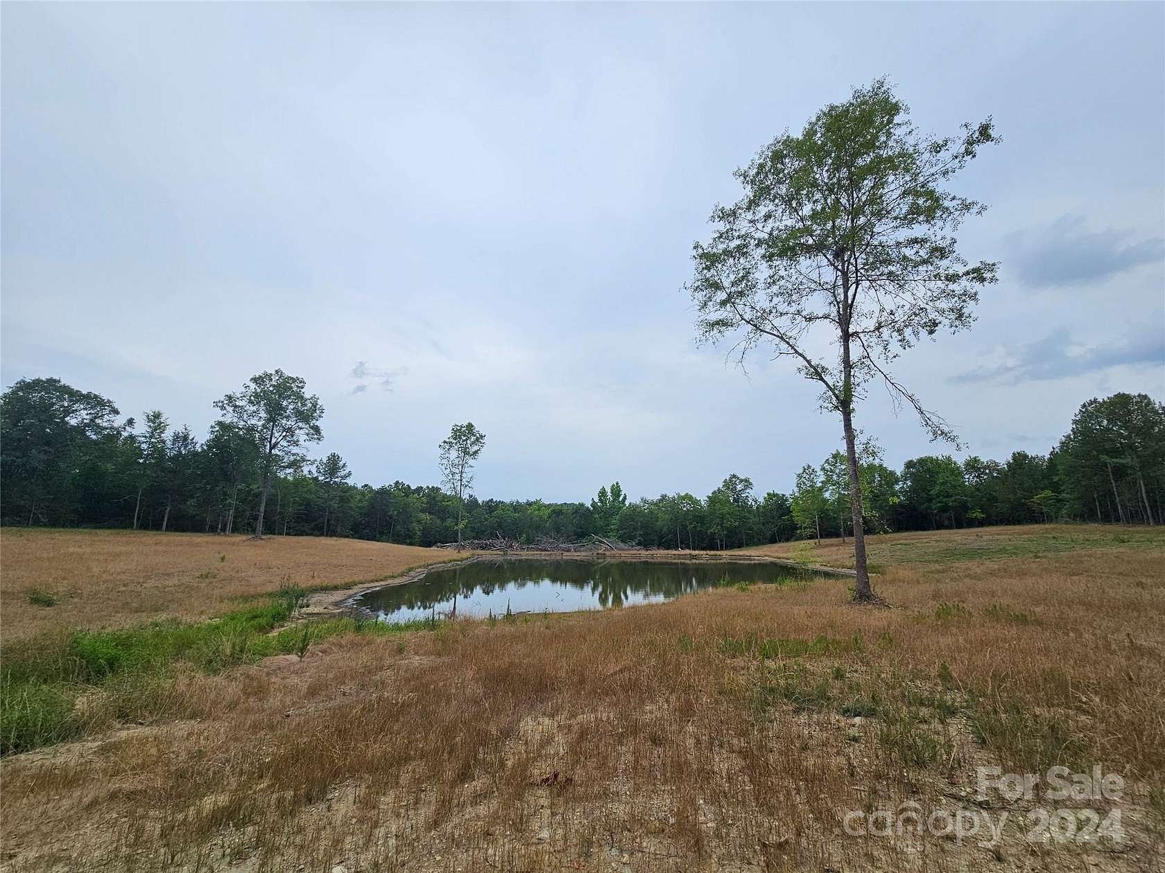 10 Acres of Recreational Land for Sale in Gaffney, South Carolina