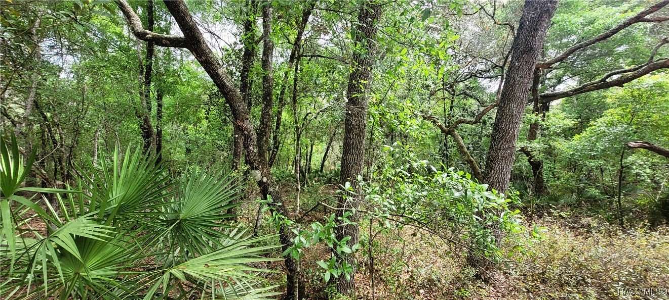 0.44 Acres of Residential Land for Sale in Inverness, Florida