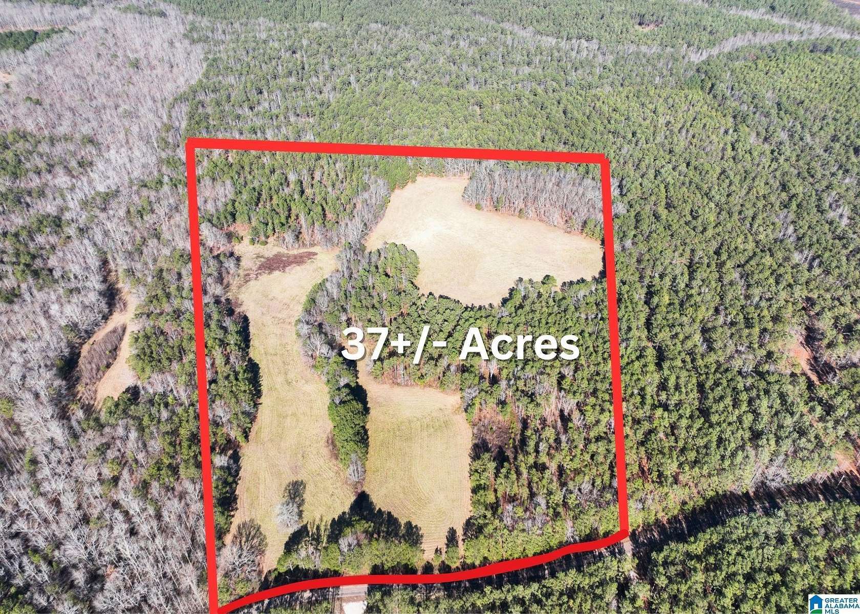 37 Acres of Agricultural Land for Sale in Roanoke, Alabama