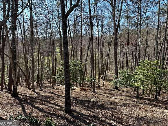 1.68 Acres of Residential Land for Sale in Young Harris, Georgia