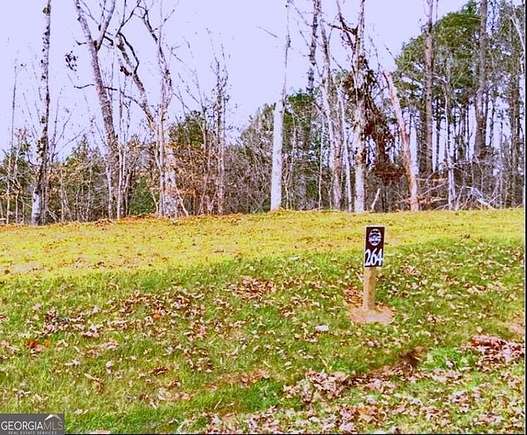 4.25 Acres of Residential Land for Sale in Ellijay, Georgia