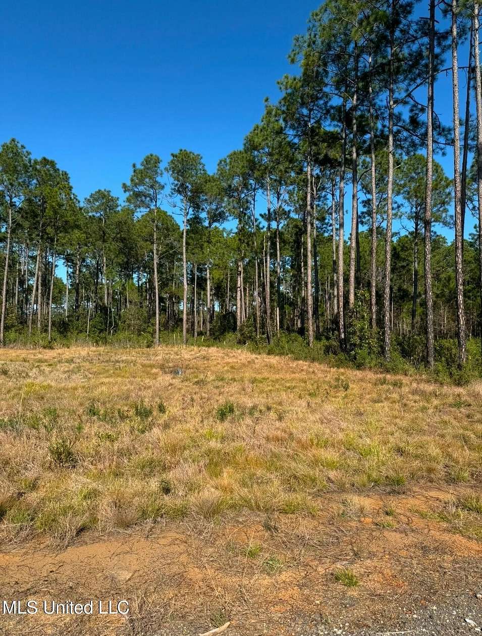 0.31 Acres of Residential Land for Sale in Ocean Springs, Mississippi