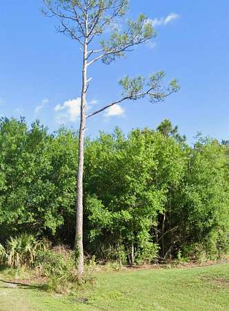 0.23 Acres of Residential Land for Sale in Punta Gorda, Florida