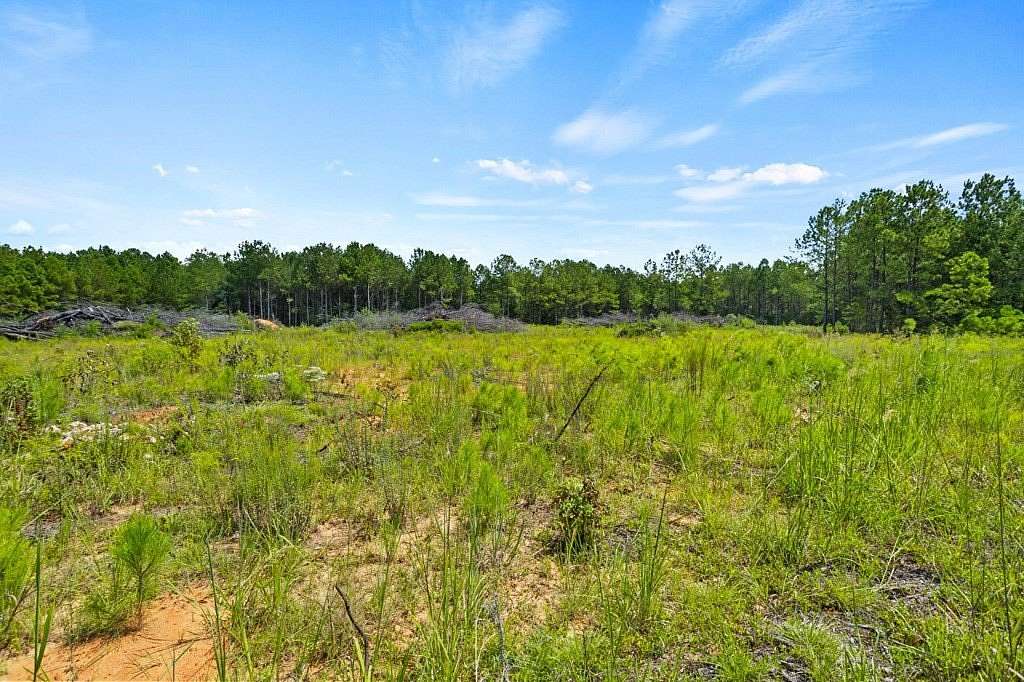 15.6 Acres of Land for Sale in Greenwood, South Carolina