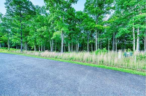 1.12 Acres of Residential Land for Sale in Mineral Bluff, Georgia