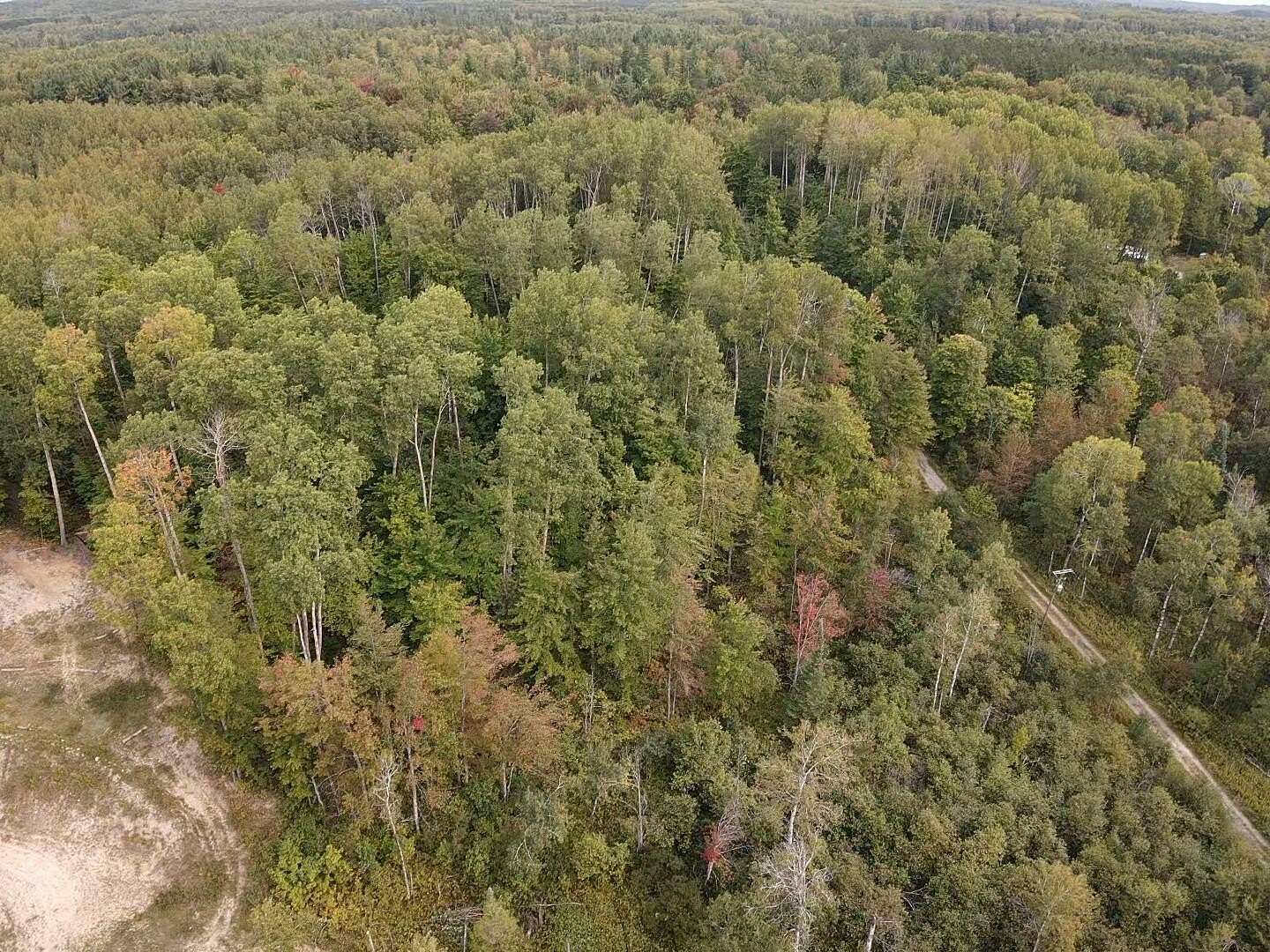 3.91 Acres of Land for Sale in Wolverine, Michigan