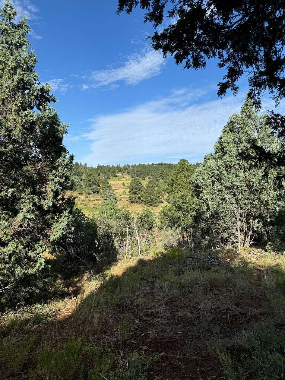 4.33 Acres of Residential Land for Sale in Duck Creek Village, Utah