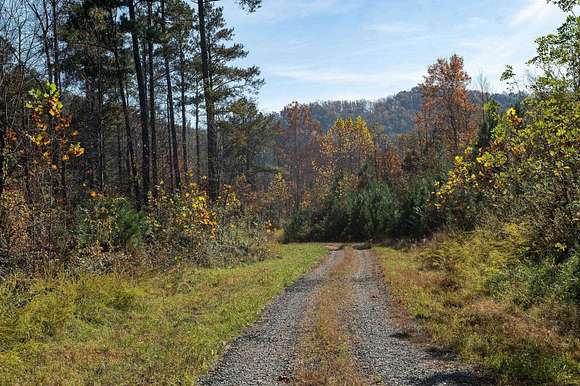 7.46 Acres of Residential Land for Sale in Charlottesville, Virginia