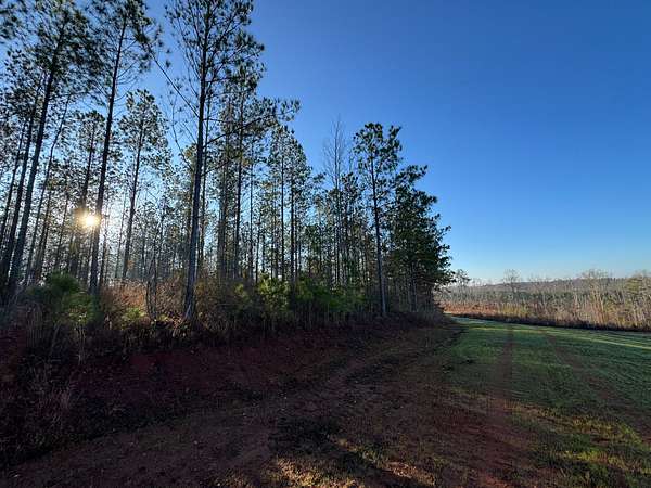 77 Acres of Agricultural Land for Sale in Five Points, Alabama