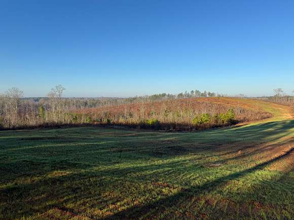 77 Acres of Agricultural Land for Sale in Five Points, Alabama