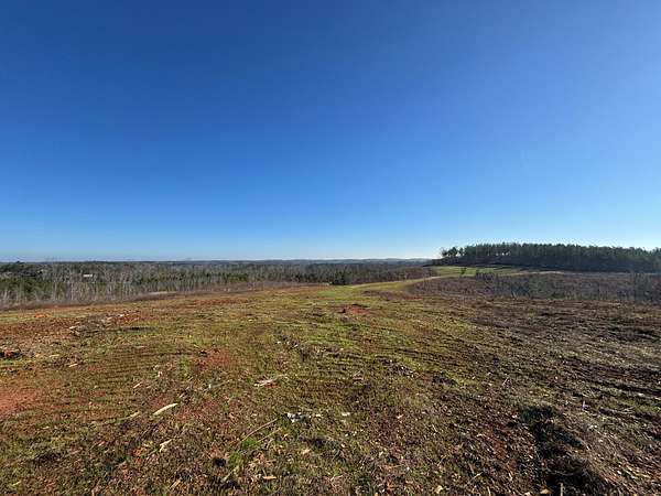 77 Acres of Agricultural Land for Sale in Five Points, Alabama