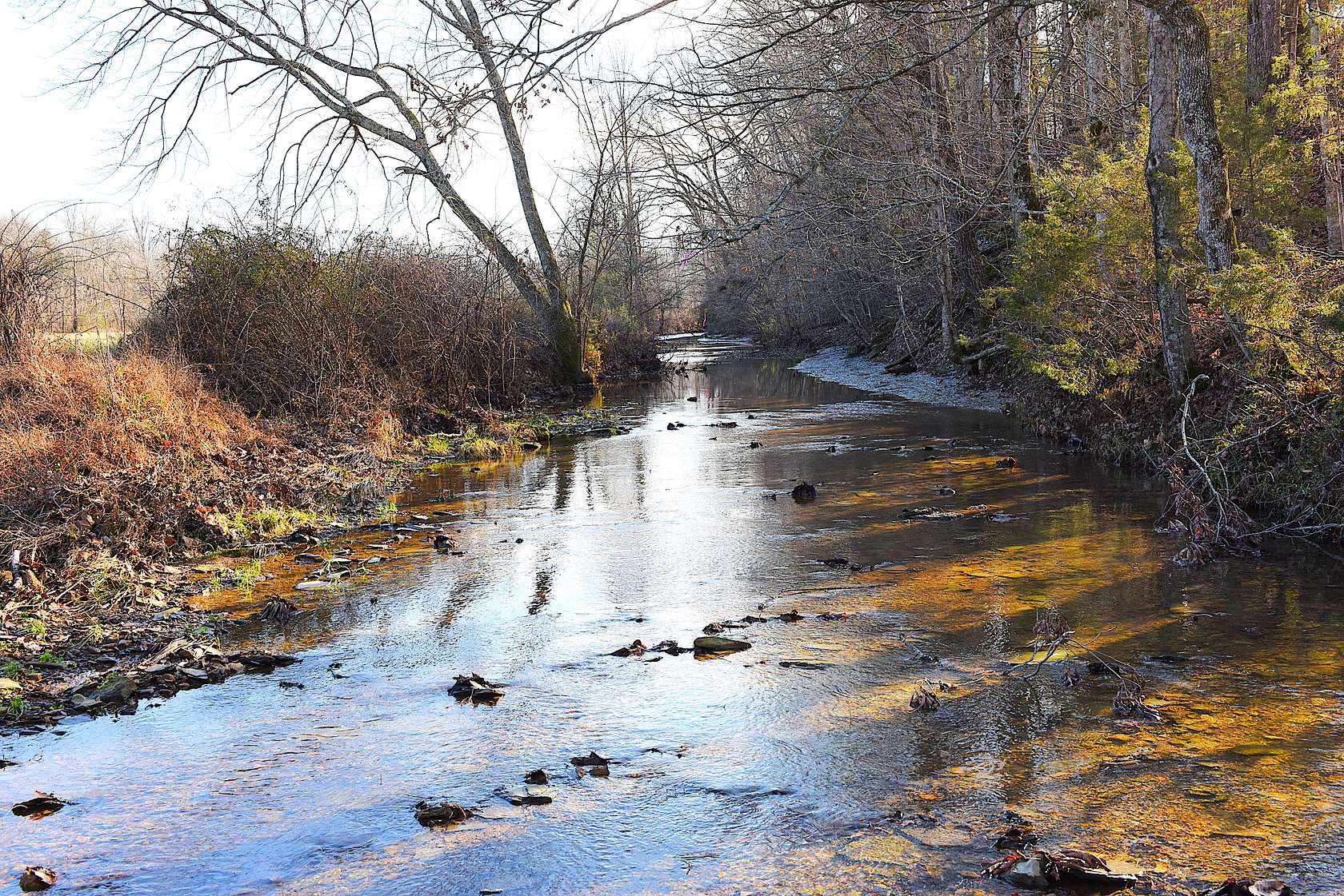 45.2 Acres of Land for Sale in Edmonton, Kentucky