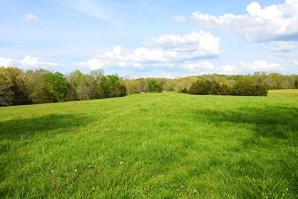 45.2 Acres of Land for Sale in Edmonton, Kentucky