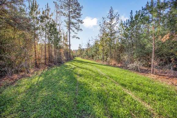 60 Acres of Recreational Land & Farm for Sale in Gloster, Mississippi