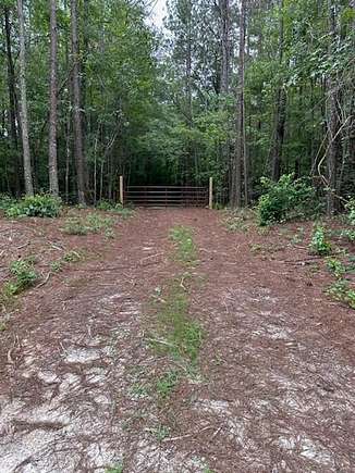 27.15 Acres of Recreational Land for Sale in Senoia, Georgia