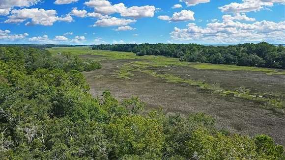 0.5 Acres of Residential Land for Sale in Darien, Georgia