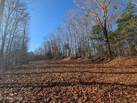 5 Acres of Land for Sale in Lancing, Tennessee